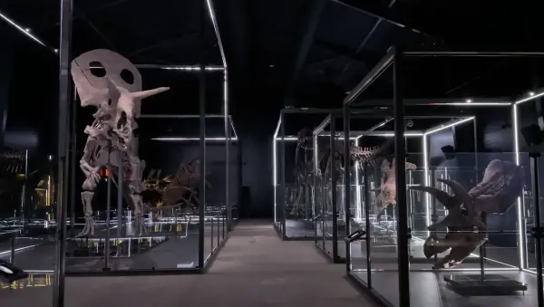 Knuthenborg Safaripark, gods/herregård i Maribo