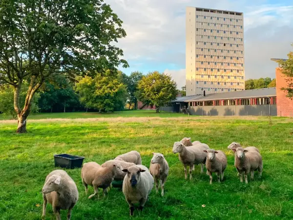 Højhuset Kulturhotel, hotel i Herning