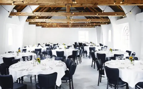 Dollerup Mølle, andet i Viborg