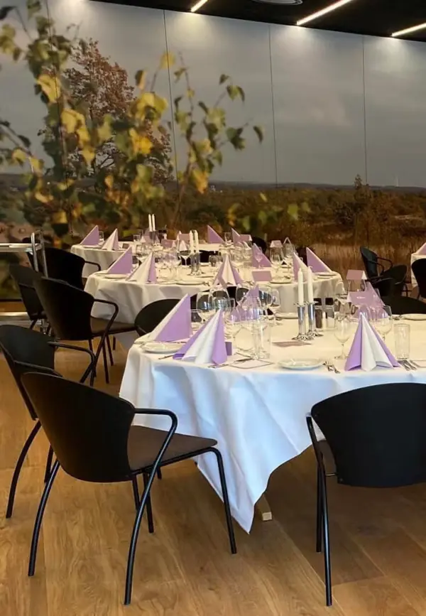 Hotel Dalgas, hotel i Brande – billede 2