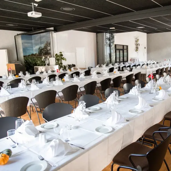 Hotel Dalgas, hotel i Brande