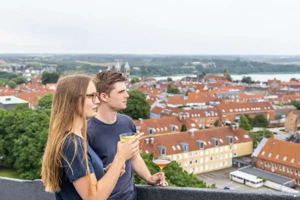 Peak 12, hotel i Viborg – billede 5