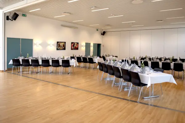 Plexus Idom-Råsted, andet i Holstebro – billede 2