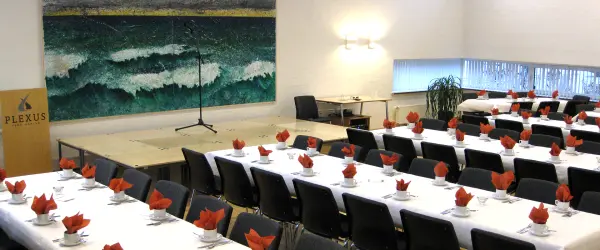 Plexus Idom-Råsted, andet i Holstebro – billede 3
