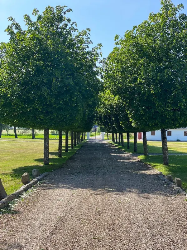 Staarup Hovedgaard, andet i Højslev – billede 5